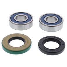 WHEEL BEARING KIT ALL BALLS RACING WB25-1742