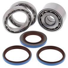 DIFFERENTIAL BEARING AND SEAL KIT ALL BALLS RACING DB25-2098
