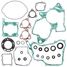 COMPLETE GASKET KIT WITH OIL SEALS WINDEROSA CGKOS 811239