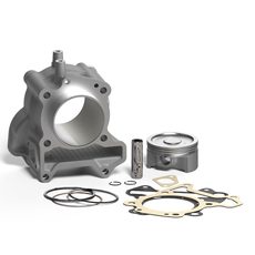 CYLINDER KIT MALOSSI 3117737