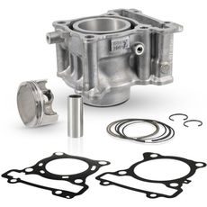 CYLINDER KIT EVOK 100081230