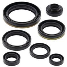ENGINE OIL SEAL KIT WINDEROSA 822127
