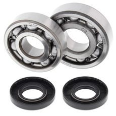 CRANKSHAFT BEARING AND SEAL KIT ALL BALLS RACING CB24-1007