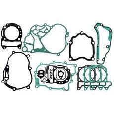 ENGINE GASKET SET RMS 100684220