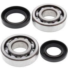 CRANKSHAFT BEARING AND SEAL KIT ALL BALLS RACING CB24-1005