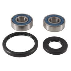 WHEEL BEARING KIT ALL BALLS RACING WB25-1743