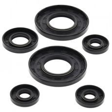 ENGINE OIL SEAL KIT WINDEROSA EOSK 55101