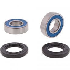 WHEEL BEARING KIT ALL BALLS RACING WB25-1829