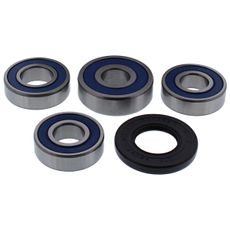 WHEEL BEARING KIT ALL BALLS RACING WB25-1771 REAR