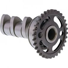 CAMSHAFT INTAKE HOT CAMS 4012-1IN