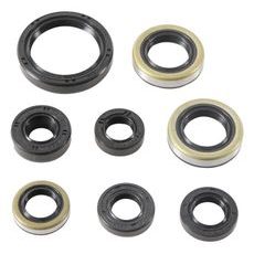 ENGINE OIL SEAL KIT WINDEROSA EOSK 822485