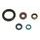 Set dihtunga za ulje za motor ATHENA P400250400049
