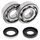 Crankshaft bearing and seal kit All Balls Racing CB24-1109