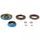 Differential Seal Only Kit All Balls Racing DB25-2125-5