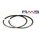 Piston ring kit RMS 100100318 38,8mm (for RMS cylinder)