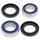 Wheel Bearing Kit All Balls Racing WB25-1395