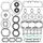 Complete gasket set with oil seal WINDEROSA PWC 611604
