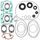 Complete Gasket Kit with Oil Seals WINDEROSA CGKOS 711165D