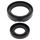 Crankshaft Seal Kit All Balls Racing CS24-2019