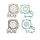 Set dihtunga za motor TOPEND ATHENA P400250600028