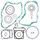 Complete Gasket Kit WINDEROSA CGK 808861