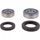 Wheel Bearing Kit All Balls Racing WB25-1831