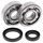 Crankshaft bearing and seal kit All Balls Racing CB24-1014