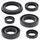 Engine Oil Seal Kit WINDEROSA 822220