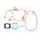 Set dihtunga za motor KOMPLETAN ATHENA P400100850020