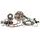 Bottom end kit HOT RODS CBK0029
