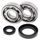 Crankshaft bearing and seal kit All Balls Racing CB24-1030