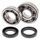 Crankshaft bearing and seal kit All Balls Racing CB24-1043