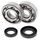 Crankshaft bearing and seal kit All Balls Racing CB24-1002