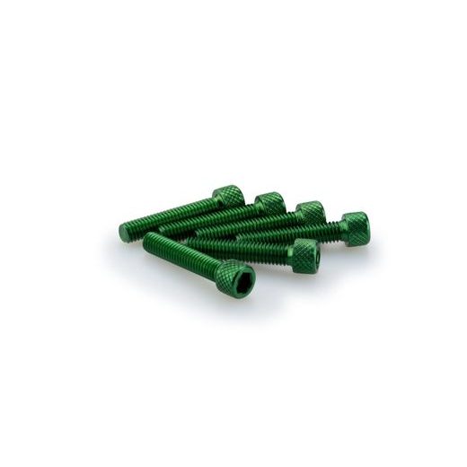 SCREWS PUIG ANODIZED 0258V GREEN M6 X 30MM (6PCS)