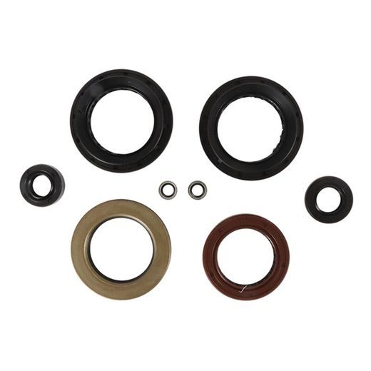 ENGINE OIL SEAL KIT WINDEROSA 822382