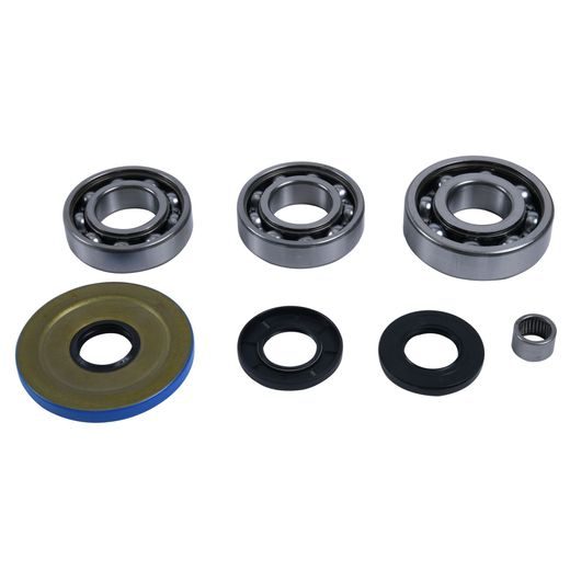 DIFFERENTIAL BEARING AND SEAL KIT ALL BALLS RACING 25-2119 DB25-2119 FRONT
