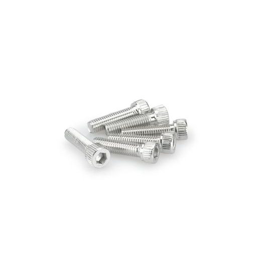 SCREWS PUIG ANODIZED 0473P SILVER M8 X 30MM (6PCS)