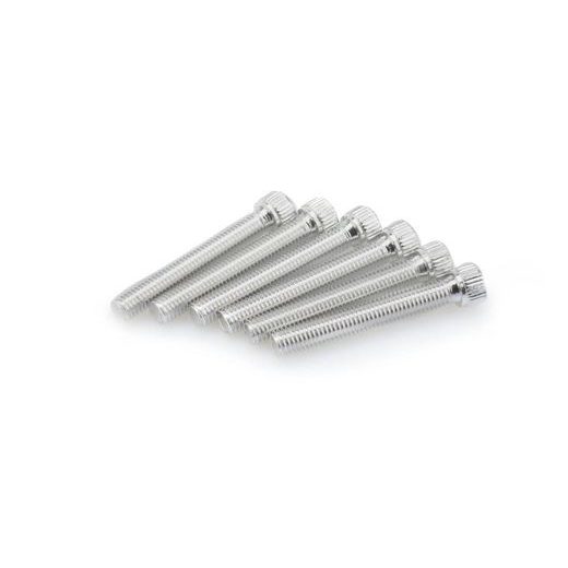 SCREWS PUIG ANODIZED 0540P SILVER M8 X 55MM (6PCS)