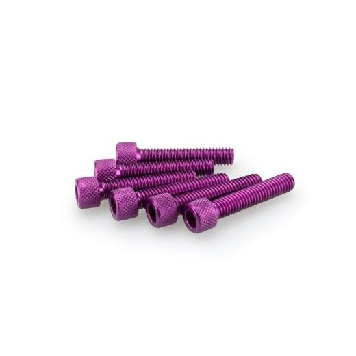 SCREWS PUIG ANODIZED 0258L VIOLET M6 X 30MM (6PCS)