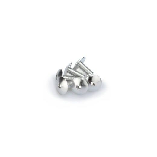 SCREWS PUIG ANODIZED 0611P SILVER M6 X 15MM (6PCS)