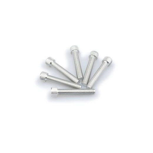SCREWS PUIG ANODIZED 0516P SILVER M8 X 45MM (6PCS)