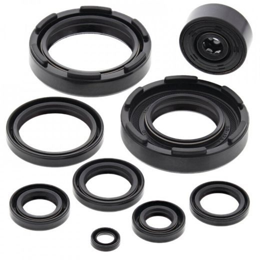 ENGINE OIL SEAL KIT WINDEROSA 822221