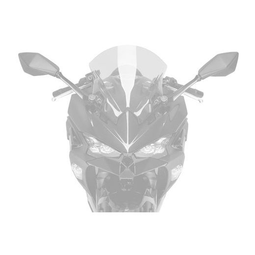 WINDSCREEN PUIG Z-RACING 22015N CRNI