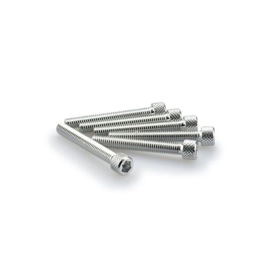 SCREWS PUIG ANODIZED 0370P SILVER M6 X 45MM (6PCS)