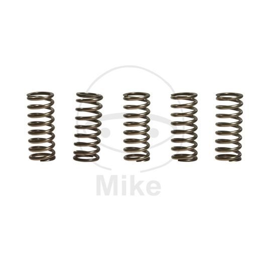CLUTCH SPRING KIT EBC CSK101 5