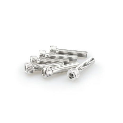 SCREWS PUIG ANODIZED 0500P SILVER M8 X 35MM (6PCS)