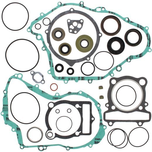 COMPLETE GASKET KIT WITH OIL SEALS WINDEROSA CGKOS 811861