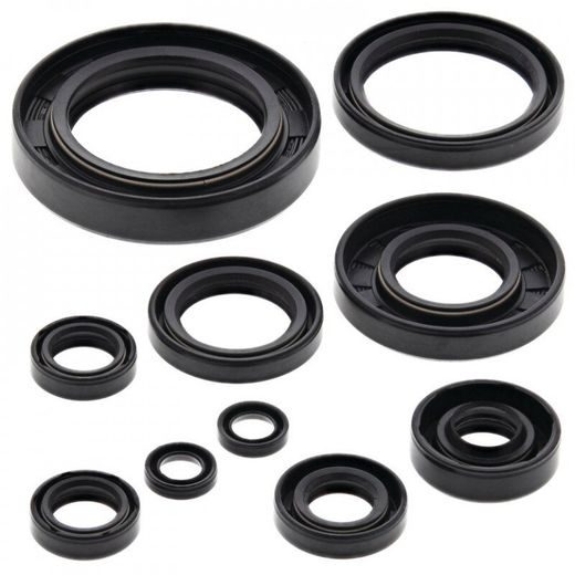 ENGINE OIL SEAL KIT WINDEROSA 822122