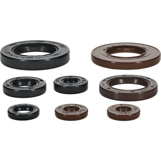 ENGINE OIL SEAL KIT WINDEROSA 822388