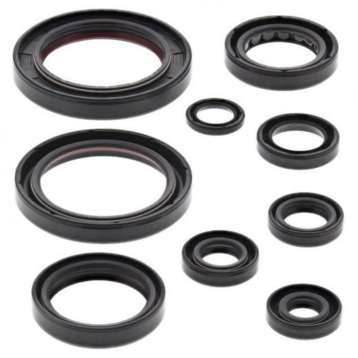 ENGINE OIL SEAL KIT WINDEROSA 822357
